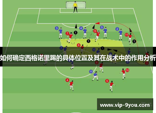 如何确定西格诺里踢的具体位置及其在战术中的作用分析